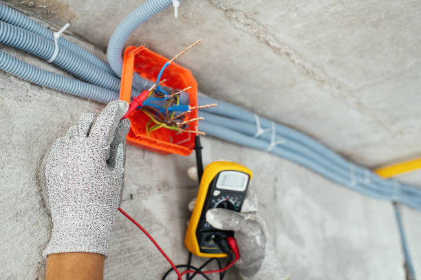 Best Electric Panel Repair  in Occidental, CA